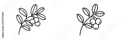 Outline of a branch with berries and leaves