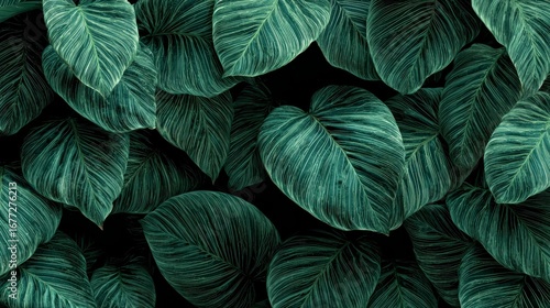 Dense Green Foliage with Detailed Leaf Veins Forming Abstract Nature Background
