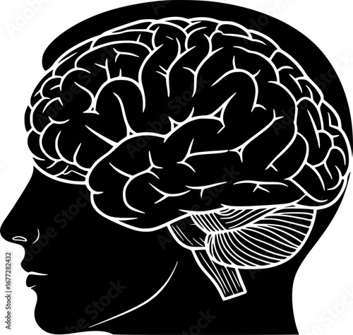 Human brain side view Isolated vector illustration. brain doodle