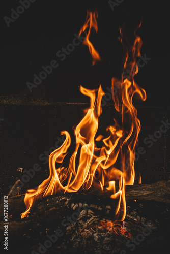 Bright orange flames rising from a wood vine barbecue fire, glowing and crackling with natural warmth