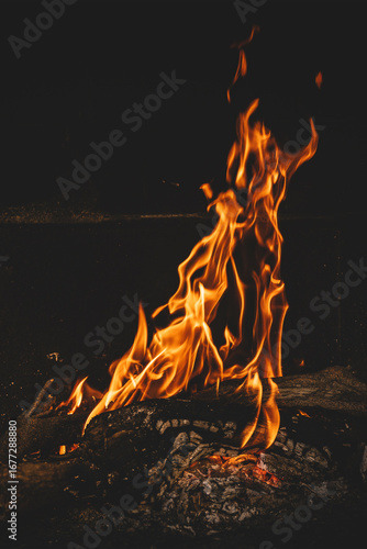 Bright orange flames rising from a wood vine barbecue fire, glowing and crackling with natural warmth