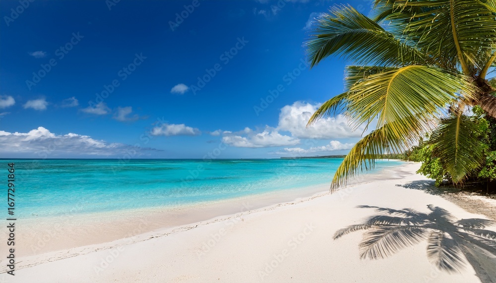 Obraz premium idyllic tropical beach with palm trees white sand turquoise water sunny sky and distant shoreline