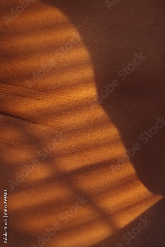 Close-up of mixed-race female skin with soft sunset light and striped shadows from window blinds, creating a warm and artistic atmosphere