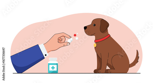 Veterinarian administering medication to a brown dog, pet care and veterinary services