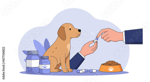 Veterinarian giving a pill to a dog, pet health care and treatment concept