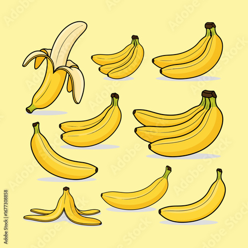 set of bananas isolated vector 