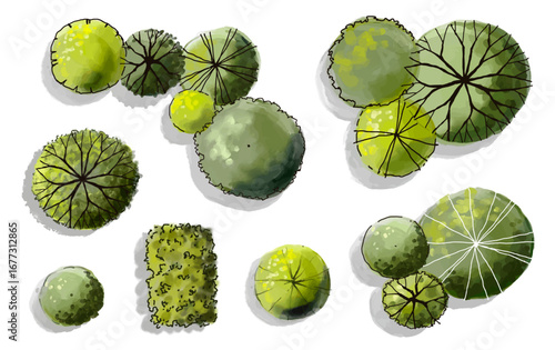 Vector set of Top view green tree for outdoor plan or map and architecture drawing, elements for environment and garden ,botanical elements ,Blooming flowers in spring,tropical plants element