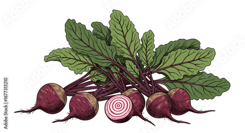 Freshly harvested organic root vegetables with vibrant green tops and earthy textures