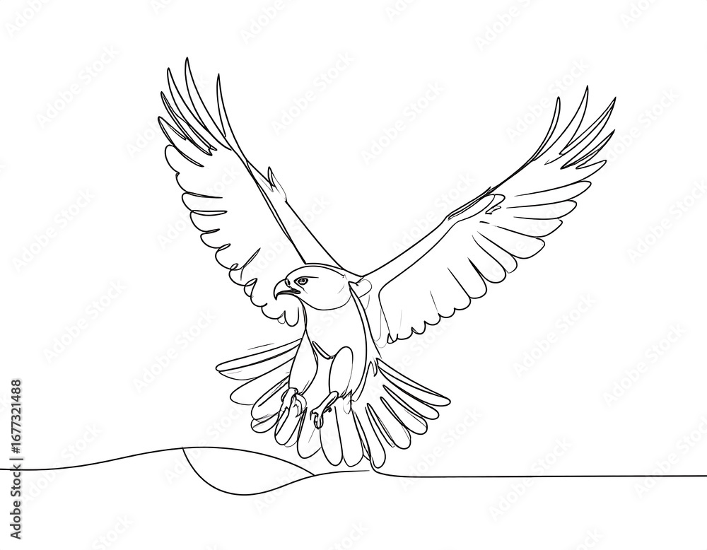 Obraz premium Eagle in flight, continuous line drawing
