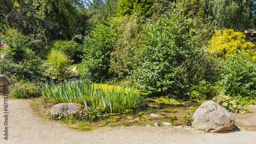 A park at the Harz mountains
