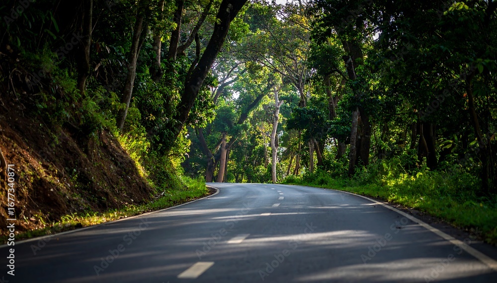 Fototapeta premium A winding asphalt road meanders through a lush, verdant forest, bathed in the soft, natural light of a tranquil morning.