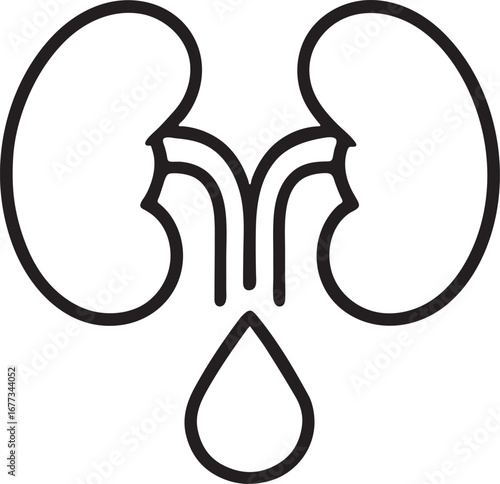 Kidney with water drop line vector icon on white background 