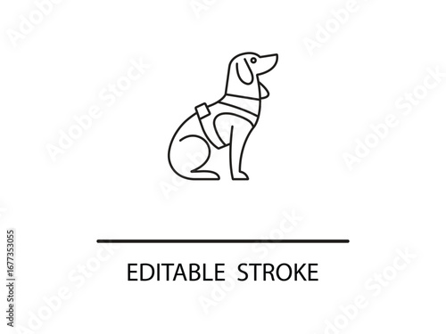Loyal dog wearing a harness sits attentively, ready for adventure and companionship.