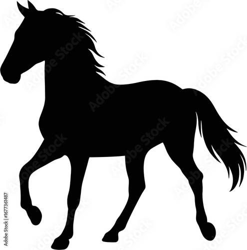 Horse silhouette transparent background