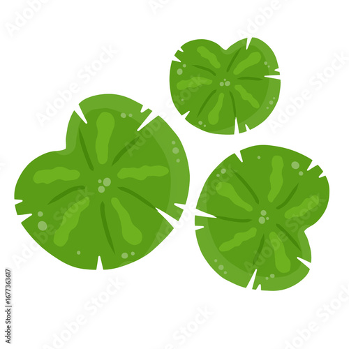 Lily pad icon Lily cartoon vector on white background