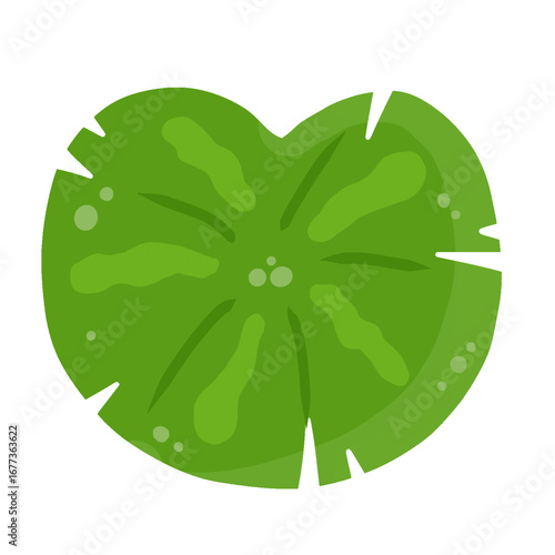 Lily pad icon Lily cartoon vector on white background