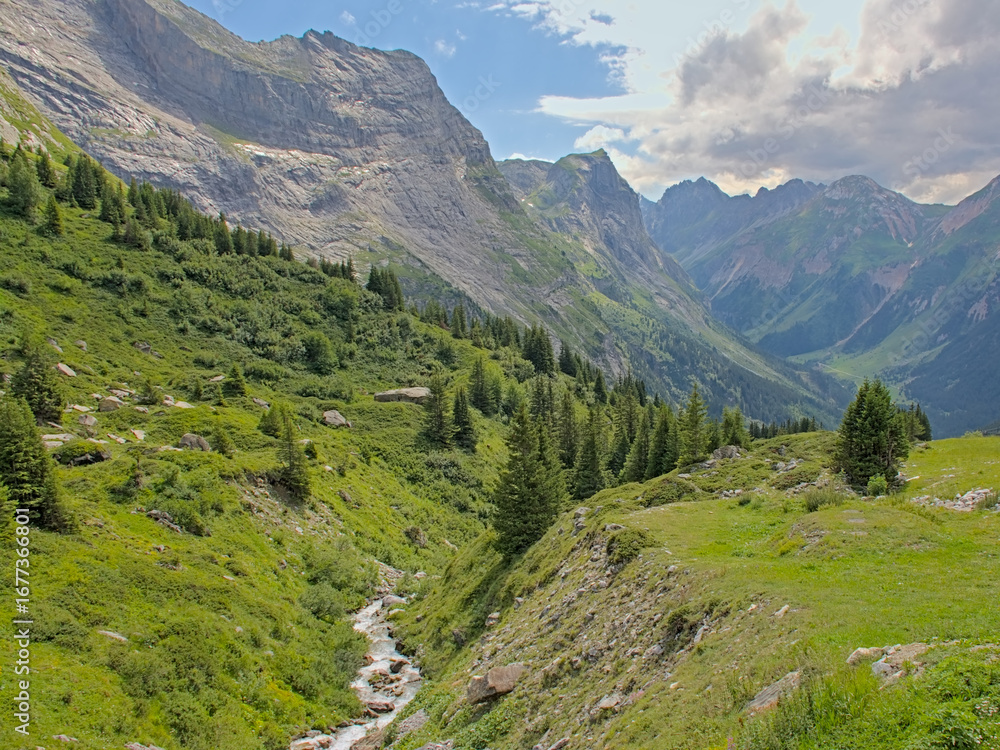 Naklejka premium Mountain river down a valley in the French Alps. 