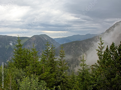 Landscape with pine trees and cloudy mountains in La Vanoise nature reserve, France 