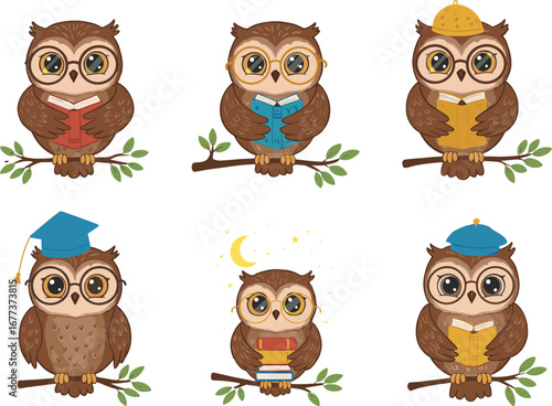 Wallpaper Mural Cute owl cartoon characters reading books on branches, wearing glasses, hats, graduation cap, night stars background, educational vector illustration. Torontodigital.ca