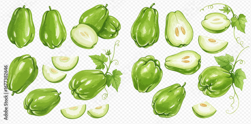A collection of illustrated green chayote squashes, shown whole, cut in half, sliced, and on the vine with leaves.