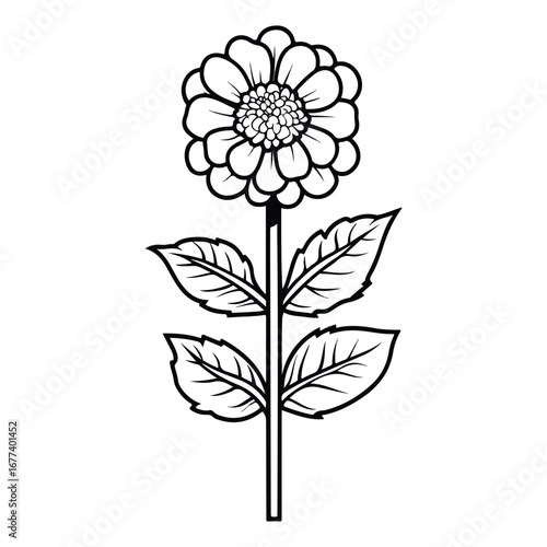 vector illustration of a flower