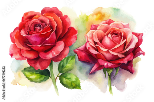 Watercolor red rose bouquets