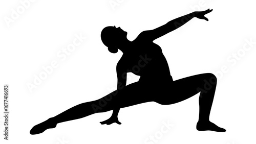Dynamic Yoga Silhouette: An elegant silhouette of a woman gracefully executing a challenging yoga pose, embodying the core principles of balance and flexibility.