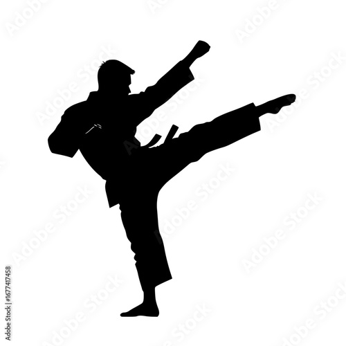 Dynamic karate fighter silhouette in powerful stance