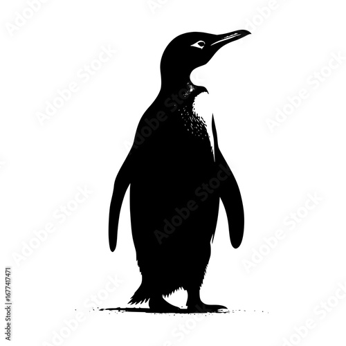 Penguin silhouette, wildlife animal design element