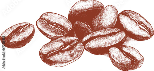 Coffee beans isolated on a white background. This vector illustration can be used in any size you like for advertising, logos, and other work.