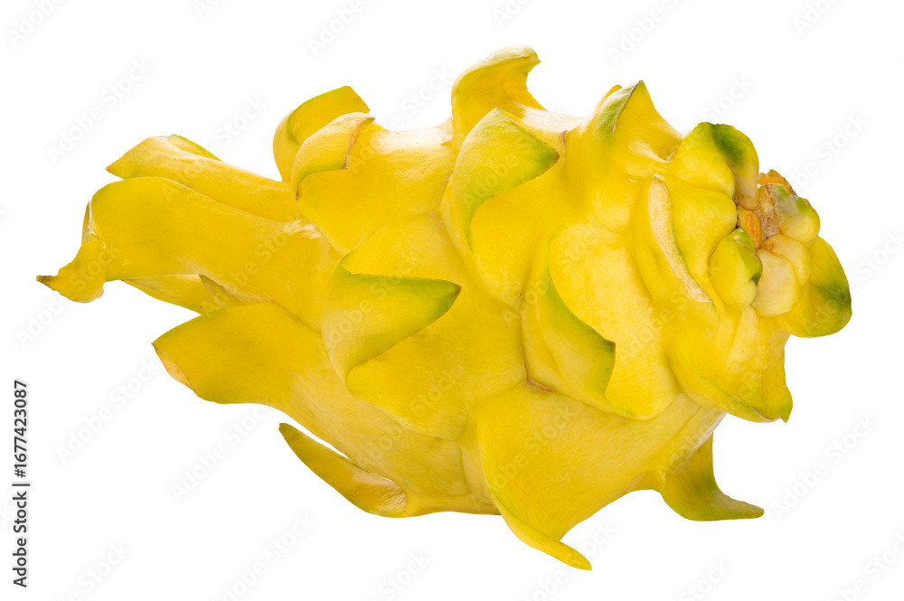 Fototapeta premium Fresh Yellow dragon fruit isolated on a transparent background