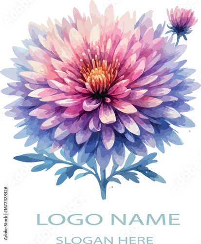 Watercolor aster flower clipart logo icon vector white background .