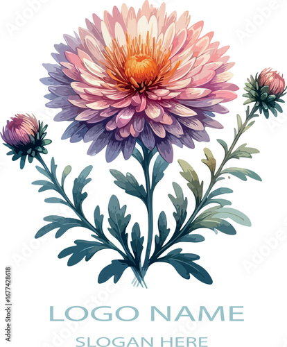 Watercolor aster flower clipart logo icon vector white background .