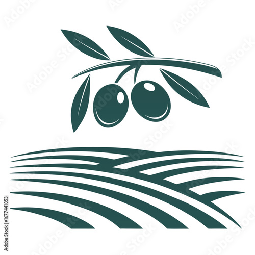 Dark green olive branch with two olives above stylized green fields fruit leaf