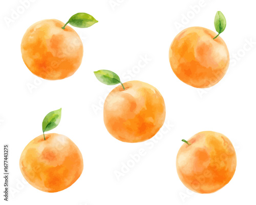 Watercolor orange fruit seamless patterns