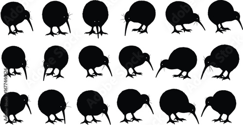 Kiwi bird silhouette vector set in motion sequence, black wildlife icons for nature design, animal behavior, biological study artwork