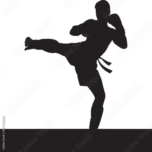 Silhouette of a fighter performing a kick with boxing gloves against a white and black background