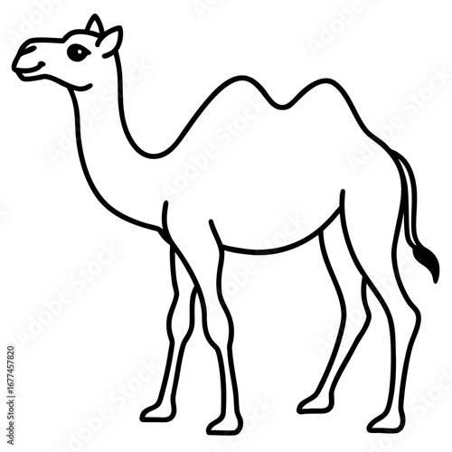 Minimal Camel Line Illustration