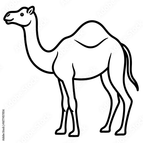 Minimal Camel Line Illustration