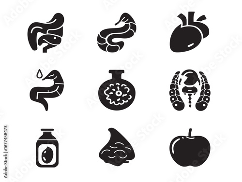 Minimalist Gastroenterology Doctor Stomach Icons Set in Simple Clean Vector Art