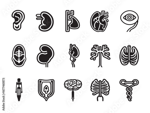 Human Organ Outline Icon Set Includes Thin Line Elegant Vector Illustration Design