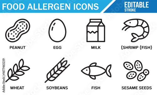 Set of Food Allergy Icons for Nutritional Labeling and Awareness