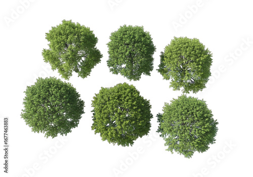 TopDown View of Six Green Trees with Transparent Background, Garden Design Elements