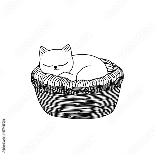 Cute sleeping cat in basket vector illustration adorable feline pet drawing outline design for print and art