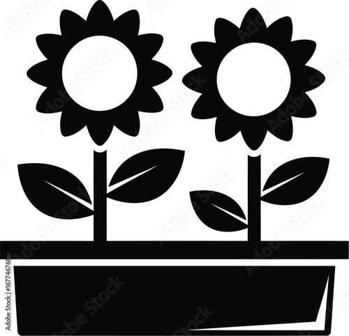 Vector art of two sunflowers in a pot, a simple and charming botanical illustration