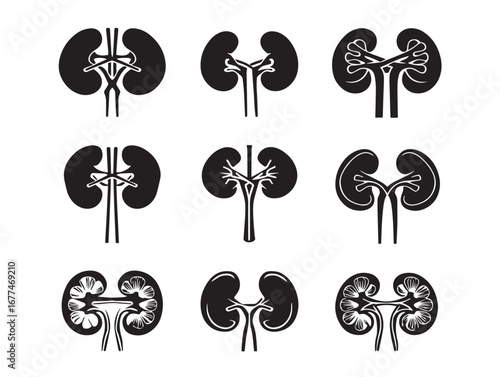 Medical Nephritis Kidneys Collection Icon Set in Professional Vector Silhouette Design