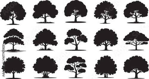 Collection Of Silhouette Of tree Isolated On White Background