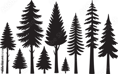 Evergreen Tree Silhouettes, Various Coniferous Forest Vector Illustration, Pine and Fir Woods Landscape, Black Nature Background Design