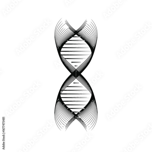 A stylized black and white illustration of a DNA double helix, created with intricate geometric lines on a white background.