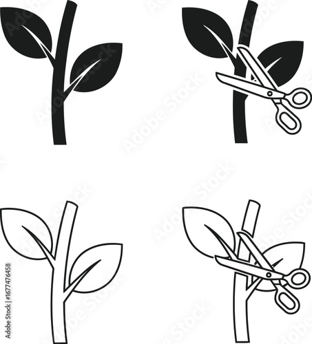 Vector art of plant pruning with scissors, a horticultural and gardening activity